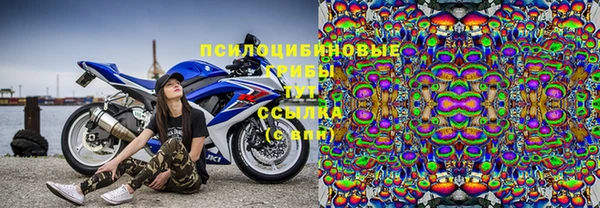 PSILOCYBIN Балахна