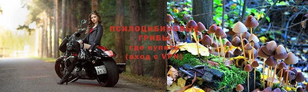 соль курить ск Аркадак